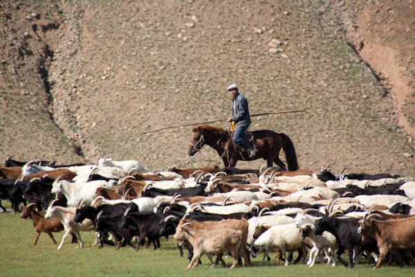 Mongolei 2012 - Juli
