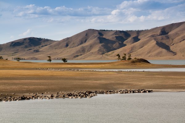 Mongolei 2012 - November